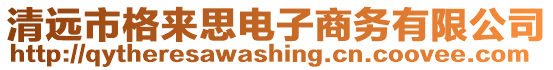 清遠市格來思電子商務有限公司