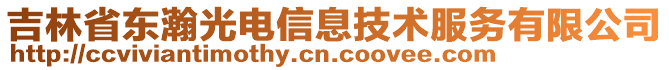 吉林省東瀚光電信息技術(shù)服務(wù)有限公司