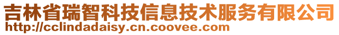 吉林省瑞智科技信息技術服務有限公司