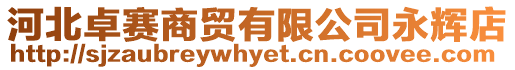 河北卓賽商貿有限公司永輝店