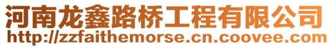 河南龍鑫路橋工程有限公司