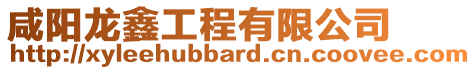 咸陽龍鑫工程有限公司