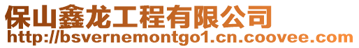保山鑫龍工程有限公司