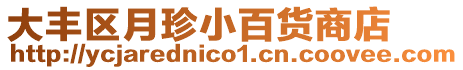 大豐區(qū)月珍小百貨商店