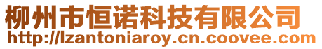 柳州市恒諾科技有限公司