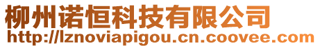 柳州諾恒科技有限公司