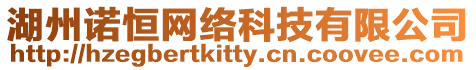 湖州諾恒網絡科技有限公司