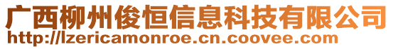 廣西柳州俊恒信息科技有限公司