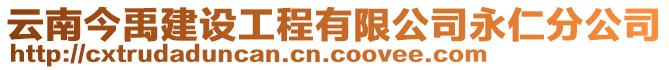 云南今禹建设工程有限公司永仁分公司