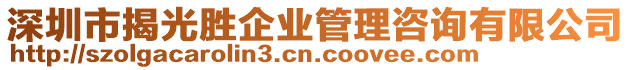 深圳市揭光勝企業(yè)管理咨詢有限公司
