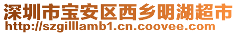 深圳市寶安區(qū)西鄉(xiāng)明湖超市