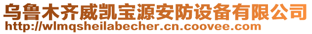 烏魯木齊威凱寶源安防設備有限公司