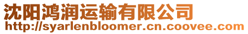 沈陽鴻潤運輸有限公司