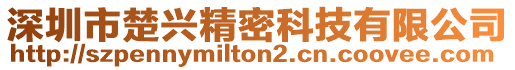 深圳市楚興精密科技有限公司