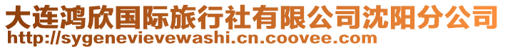 大連鴻欣國際旅行社有限公司沈陽分公司