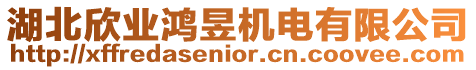 湖北欣業鴻昱機電有限公司