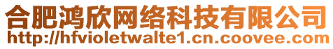 合肥鴻欣網(wǎng)絡(luò)科技有限公司