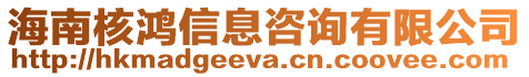 海南核鴻信息咨詢有限公司