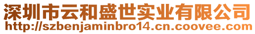深圳市云和盛世實業有限公司