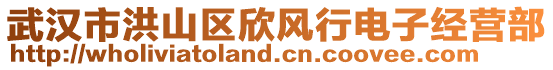 武漢市洪山區(qū)欣風行電子經(jīng)營部