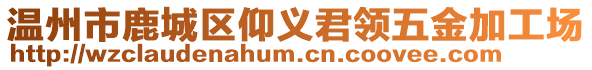 溫州市鹿城區(qū)仰義君領(lǐng)五金加工場