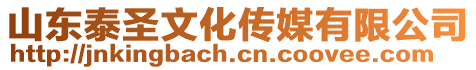 山東泰圣文化傳媒有限公司