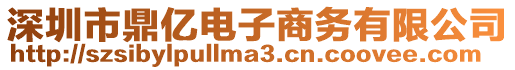 深圳市鼎億電子商務(wù)有限公司