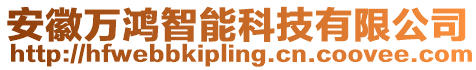 安徽萬鴻智能科技有限公司