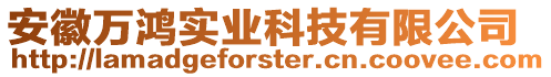 安徽萬鴻實業科技有限公司