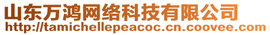 山東萬鴻網絡科技有限公司