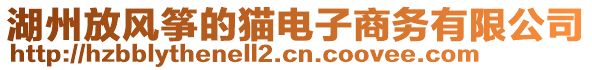 湖州放風(fēng)箏的貓電子商務(wù)有限公司