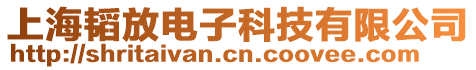 上海韜放電子科技有限公司