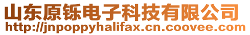 山東原鑠電子科技有限公司