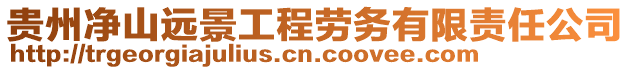 貴州凈山遠景工程勞務有限責任公司