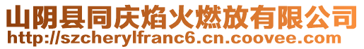 山陰縣同慶焰火燃放有限公司