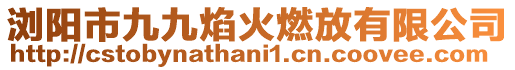 瀏陽(yáng)市九九焰火燃放有限公司