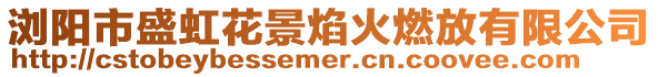 瀏陽市盛虹花景焰火燃放有限公司