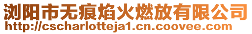 瀏陽市無痕焰火燃放有限公司