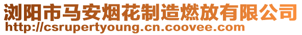 瀏陽市馬安煙花制造燃放有限公司