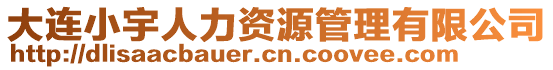 大連小宇人力資源管理有限公司