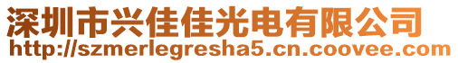 深圳市興佳佳光電有限公司