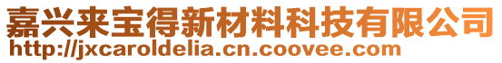 嘉興來寶得新材料科技有限公司