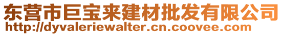 東營市巨寶來建材批發有限公司