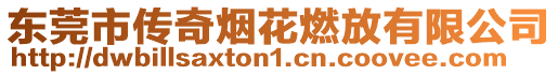 東莞市傳奇煙花燃放有限公司