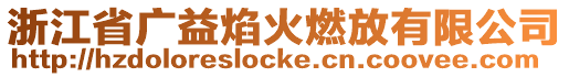 浙江省廣益焰火燃放有限公司