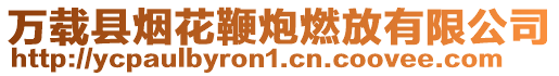 萬載縣煙花鞭炮燃放有限公司
