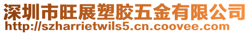 深圳市旺展塑膠五金有限公司