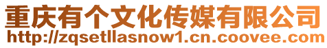 重慶有個文化傳媒有限公司
