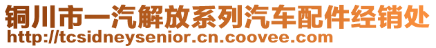 銅川市一汽解放系列汽車配件經(jīng)銷處