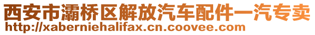西安市灞橋區(qū)解放汽車配件一汽專賣